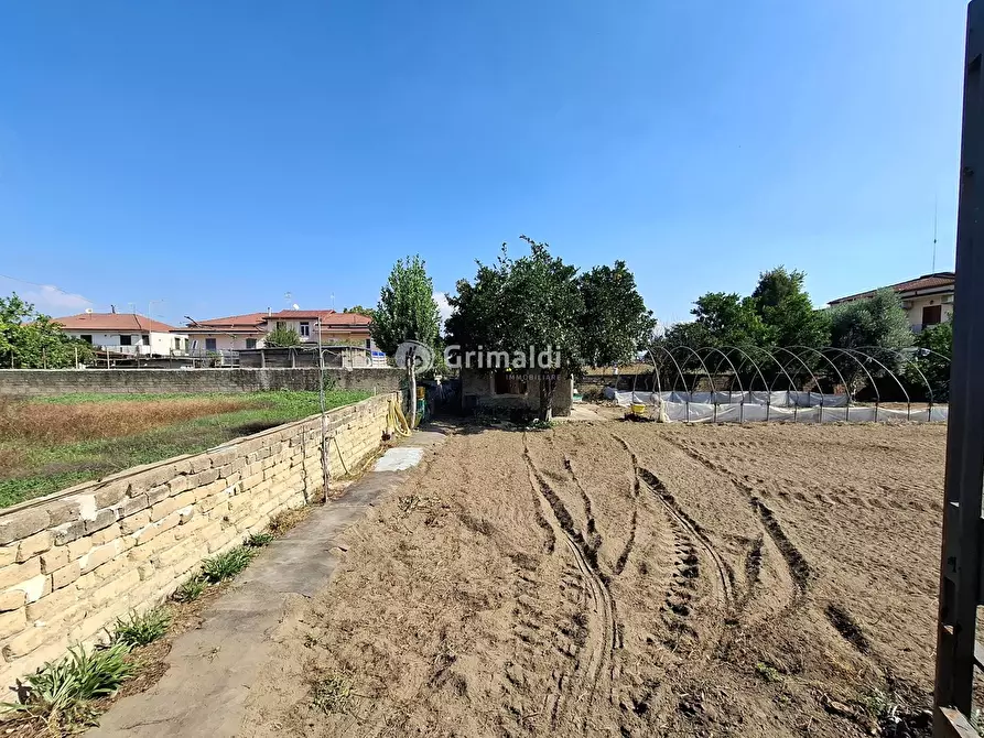 Immagine 6 di Terreno agricolo in vendita  in Via Donatello, 12 a Acerra