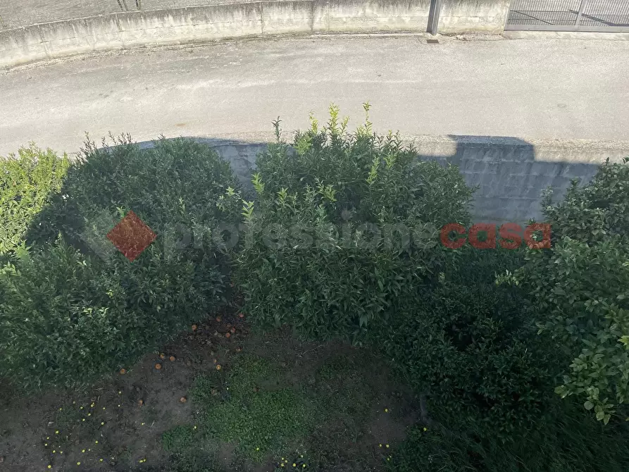 Immagine 3 di Villetta a schiera in vendita  in Via I traversa San Martino a Camigliano