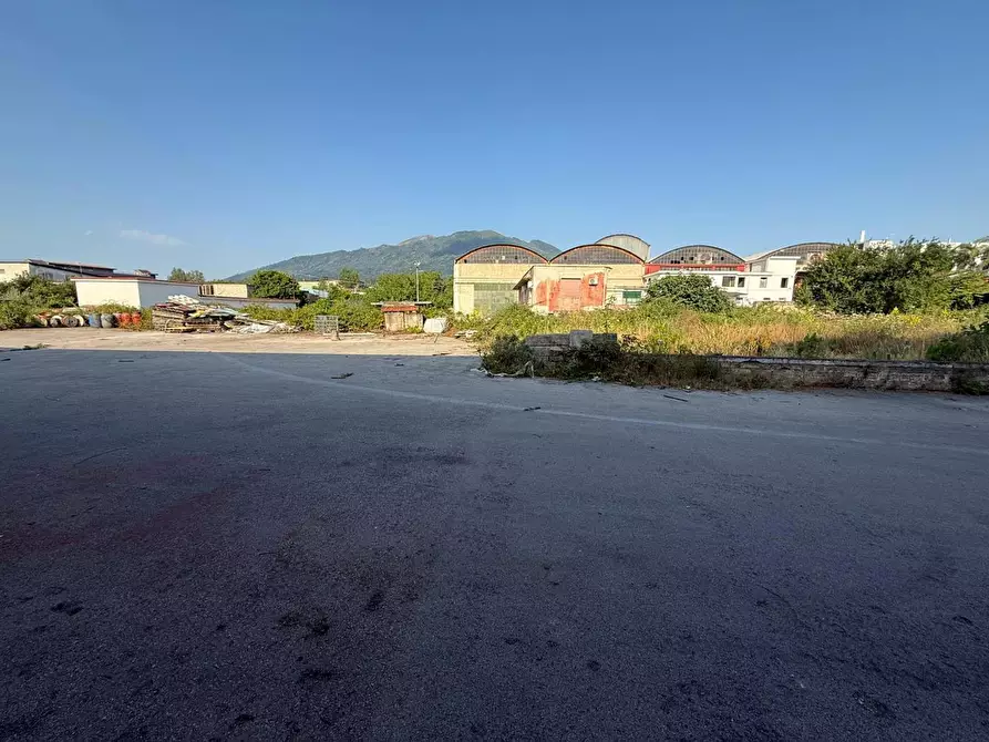 Immagine 9 di Attività commerciale in vendita  in Via FF.SS, snc a Ottaviano