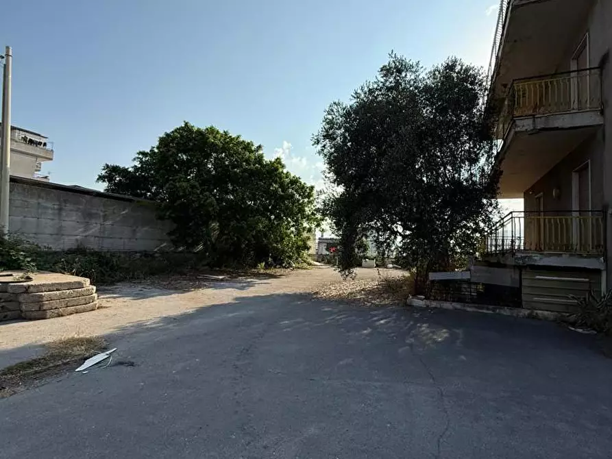 Immagine 21 di Attività commerciale in vendita  in Via FF.SS, snc a Ottaviano