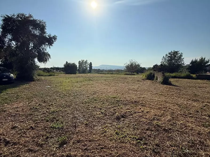Immagine 5 di Palazzo in vendita  in Via Dante Alighieri, snc a Pollena Trocchia