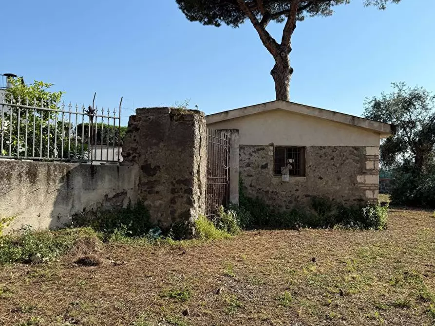 Immagine 3 di Palazzo in vendita  in Via Dante Alighieri, snc a Pollena Trocchia