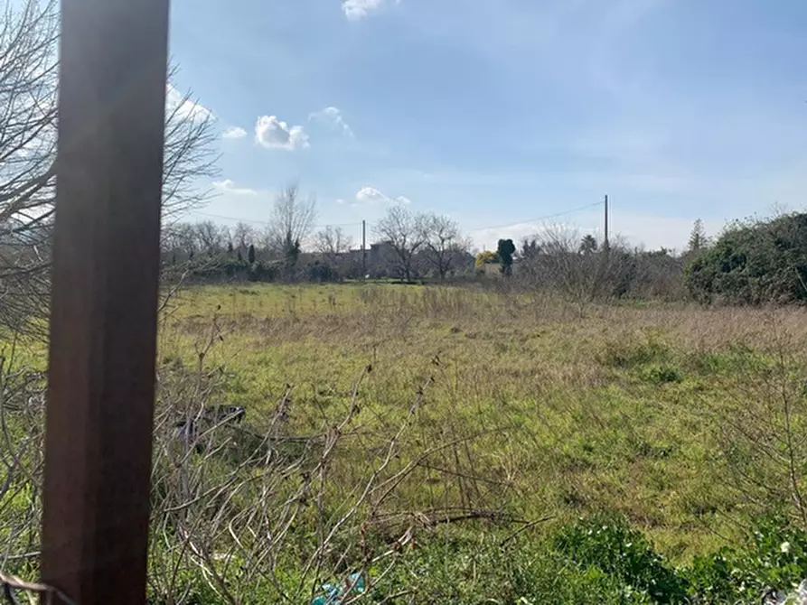 Immagine 10 di Terreno residenziale in vendita  in Via vignariello a Somma Vesuviana