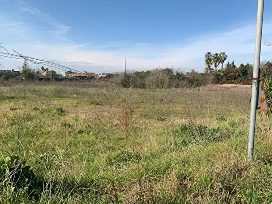 Immagine 8 di Terreno residenziale in vendita  in Via vignariello a Somma Vesuviana