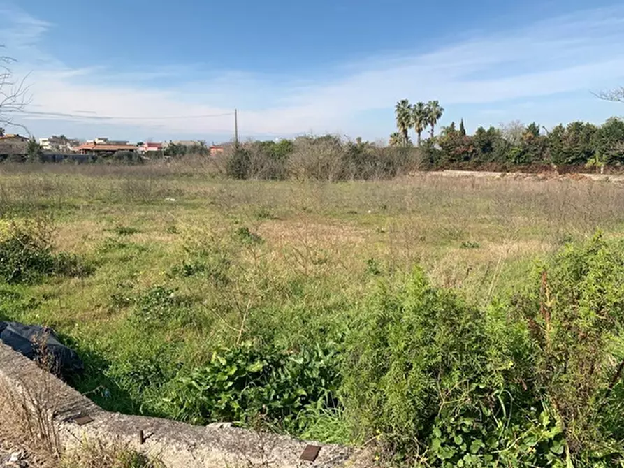 Immagine 7 di Terreno residenziale in vendita  in Via vignariello a Somma Vesuviana
