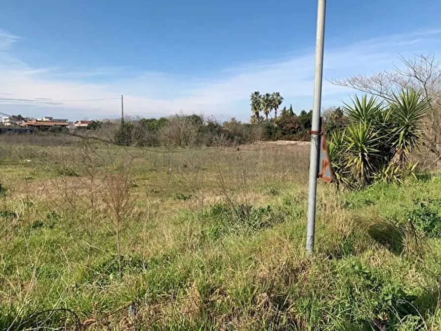 Immagine 6 di Terreno residenziale in vendita  in Via vignariello a Somma Vesuviana