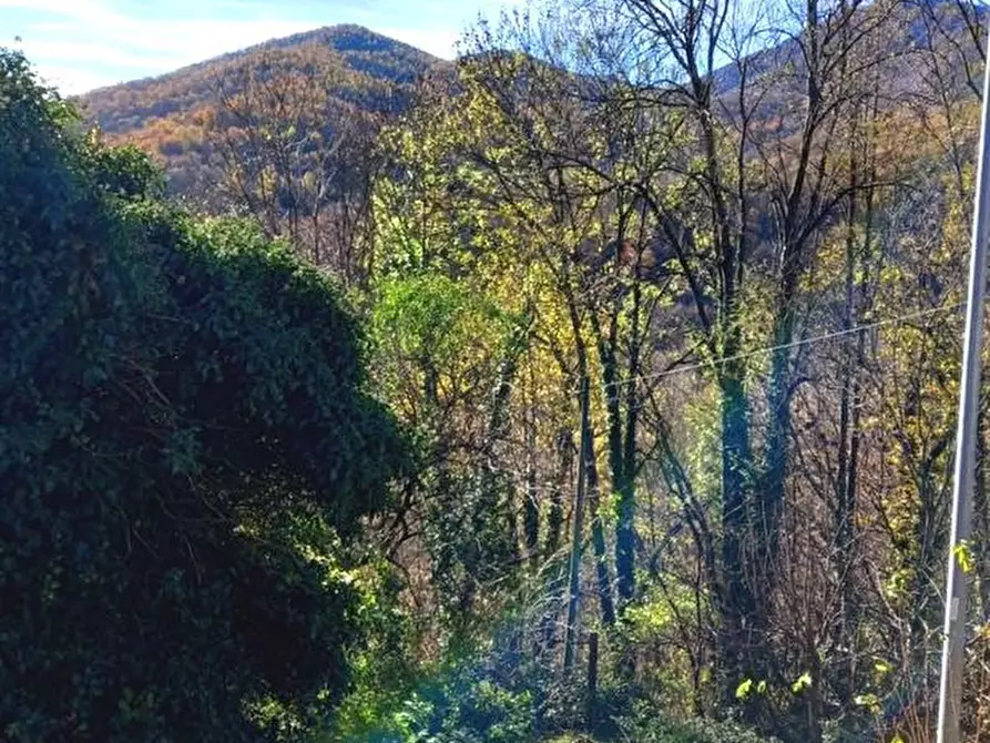Immagine 13 di Villa in vendita  in Via Borgata Roccette, / a Giaveno