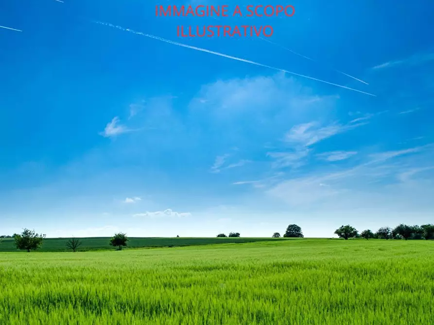 Immagine 2 di Terreno residenziale in vendita  in Via CAVANELLA D'ADIGE, 00 a Chioggia