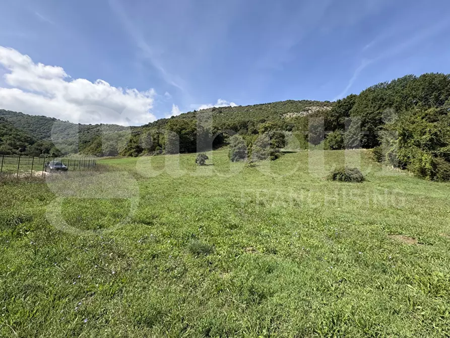 Immagine 8 di Terreno agricolo in vendita  in LocalitÃ  Valle Franca e Petreta, snc a Montelanico