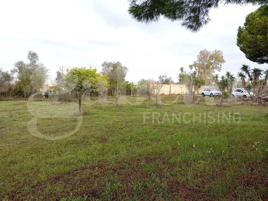 Immagine 22 di Villa in vendita  in Via Acquari Primo, 163 a Lizzanello