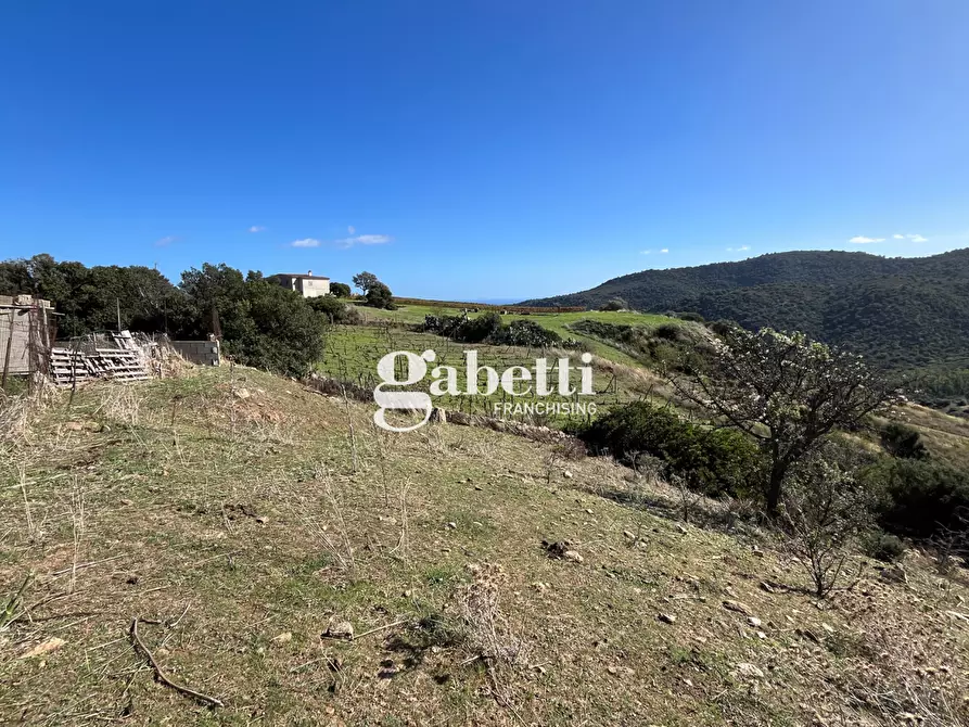 Immagine 3 di Terreno residenziale in vendita  in LocalitÃ  Giustinu, snc a Budoni