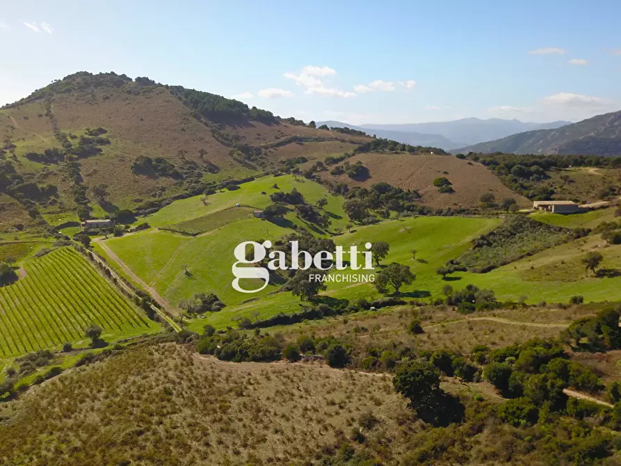 Immagine 7 di Terreno residenziale in vendita  in LocalitÃ  Giustinu, snc a Budoni