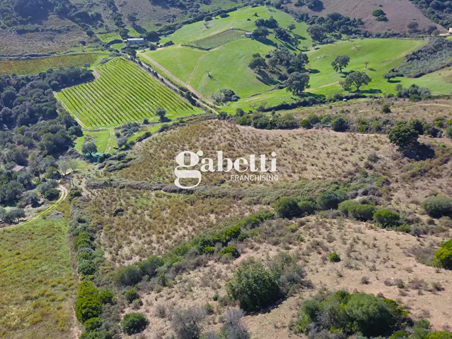 Immagine 5 di Terreno residenziale in vendita  in LocalitÃ  Giustinu, snc a Budoni