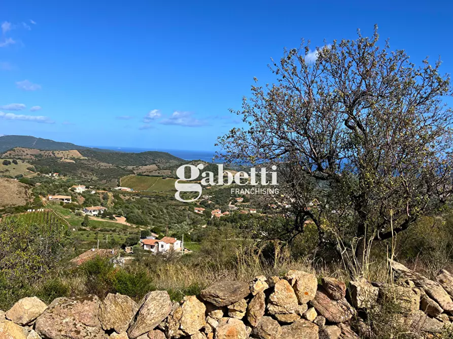 Immagine 11 di Terreno residenziale in vendita  in LocalitÃ  Giustinu, snc a Budoni