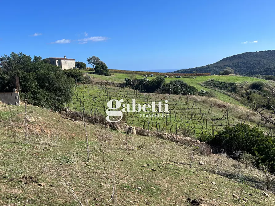 Immagine 10 di Terreno residenziale in vendita  in LocalitÃ  Giustinu, snc a Budoni