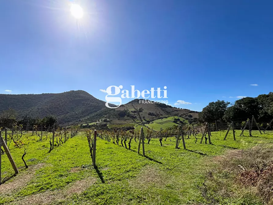 Immagine 12 di Terreno residenziale in vendita  in LocalitÃ  Giustinu, snc a Budoni