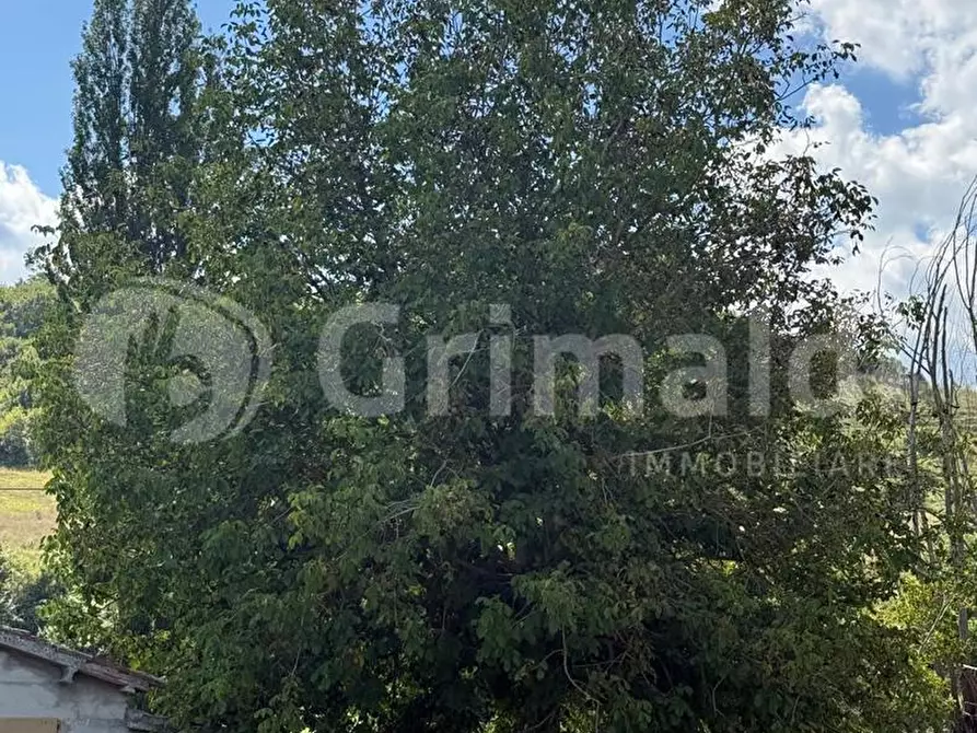 Immagine 14 di Casa indipendente in vendita  in Strada statale flaminia a Scheggia E Pascelupo
