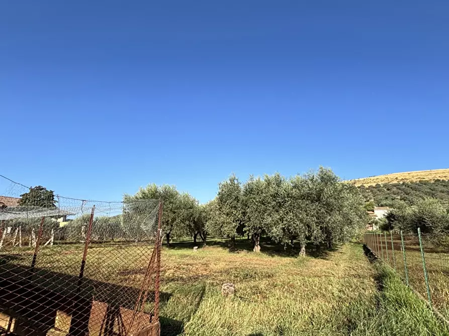 Immagine 9 di Casa indipendente in vendita  in Strada provinciale tecchiena, 50 a Alatri