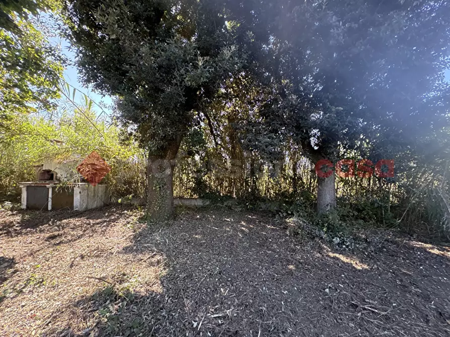 Immagine 9 di Casa indipendente in vendita  in Via SAN FELICE CIRCEO TRAVERSA DESTRA, 10 a Terracina