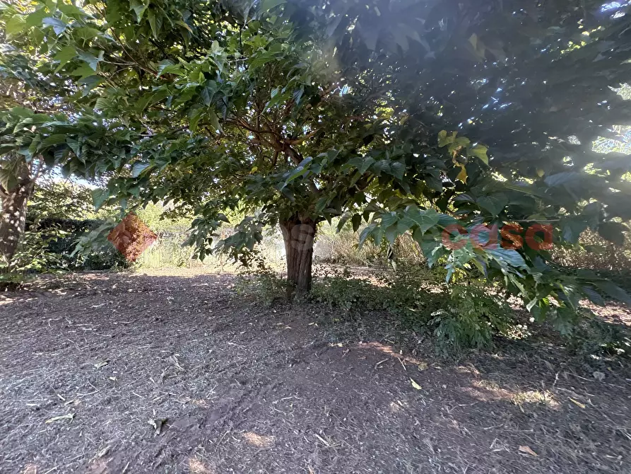 Immagine 24 di Casa indipendente in vendita  in Via SAN FELICE CIRCEO TRAVERSA DESTRA, 10 a Terracina