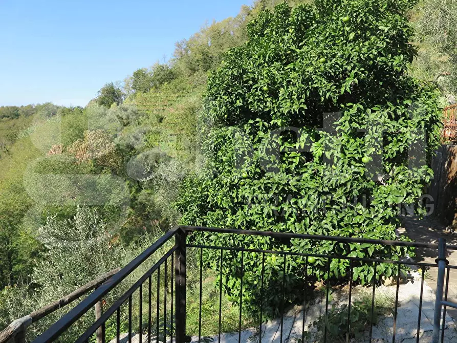 Immagine 11 di Casa indipendente in vendita  in Via canarbino, 4 a Lerici