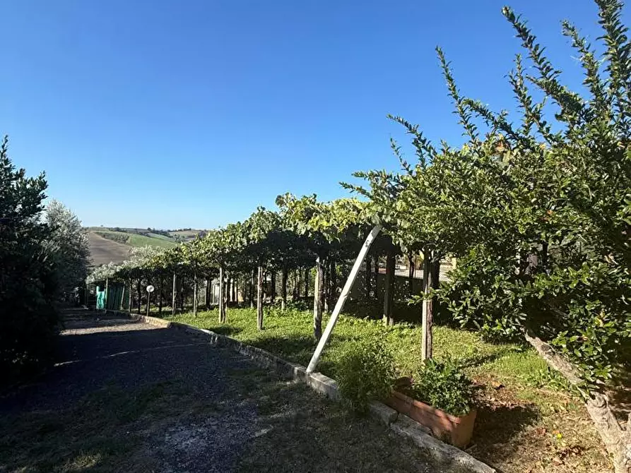 Immagine 1 di Terreno agricolo in vendita  in Via DELLA GAVACCIA, 00 a Monterotondo