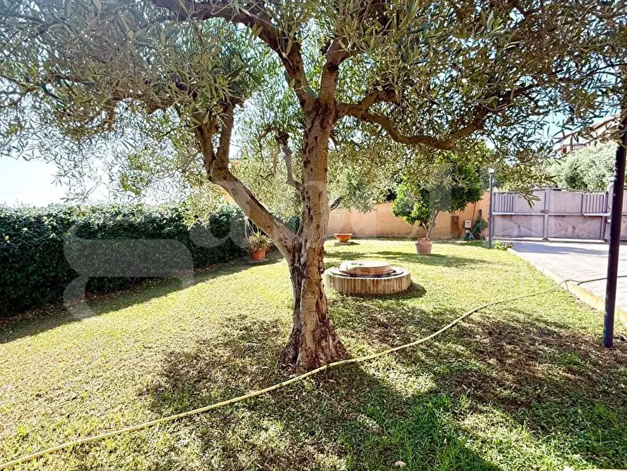 Immagine 21 di Casa bifamiliare in vendita  in Via MONTE SEMPIONE, 68 a Fonte Nuova