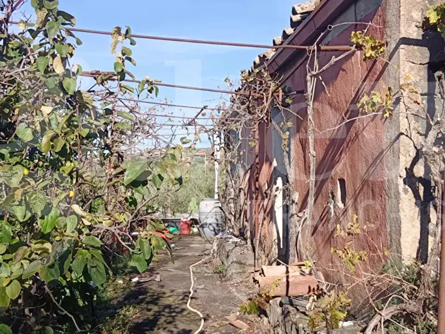 Immagine 16 di Terreno agricolo in vendita  in Contrada Mancusi Soprana, S.N.C a Santa Maria Di Licodia
