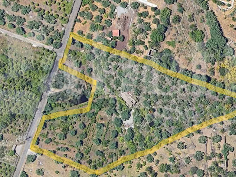 Immagine 4 di Terreno agricolo in vendita  in Contrada Mancusi Soprana, S.N.C a Santa Maria Di Licodia