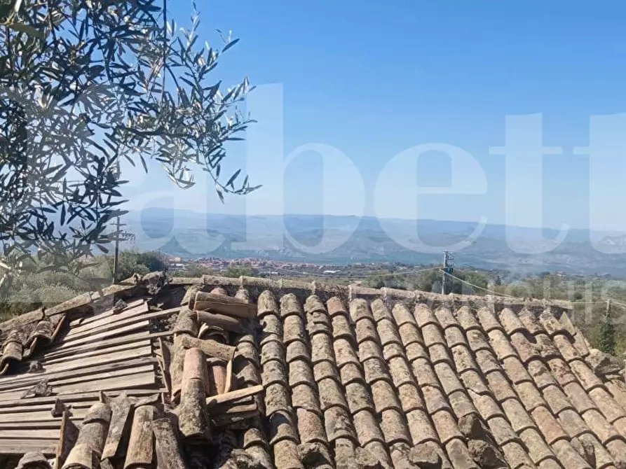 Immagine 2 di Terreno agricolo in vendita  in Contrada Mancusi Soprana, S.N.C a Santa Maria Di Licodia