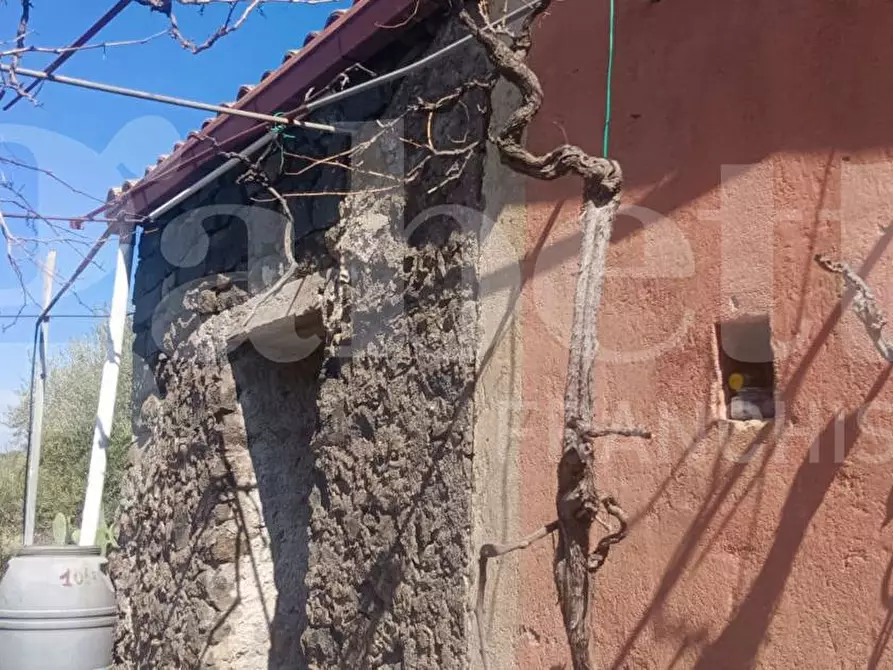Immagine 13 di Terreno agricolo in vendita  in Contrada Mancusi Soprana, S.N.C a Santa Maria Di Licodia