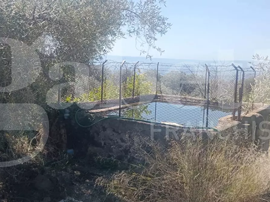 Immagine 17 di Terreno agricolo in vendita  in Contrada Mancusi Soprana, S.N.C a Santa Maria Di Licodia