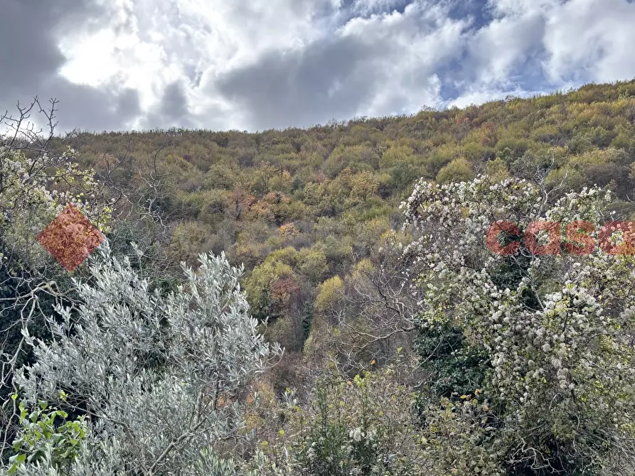 Immagine 24 di Appartamento in vendita  in Via santa maria della quercia, 56 a Guarcino