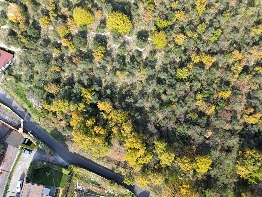 Immagine 3 di Terreno residenziale in vendita  in Via cisterna antica a Fiuggi