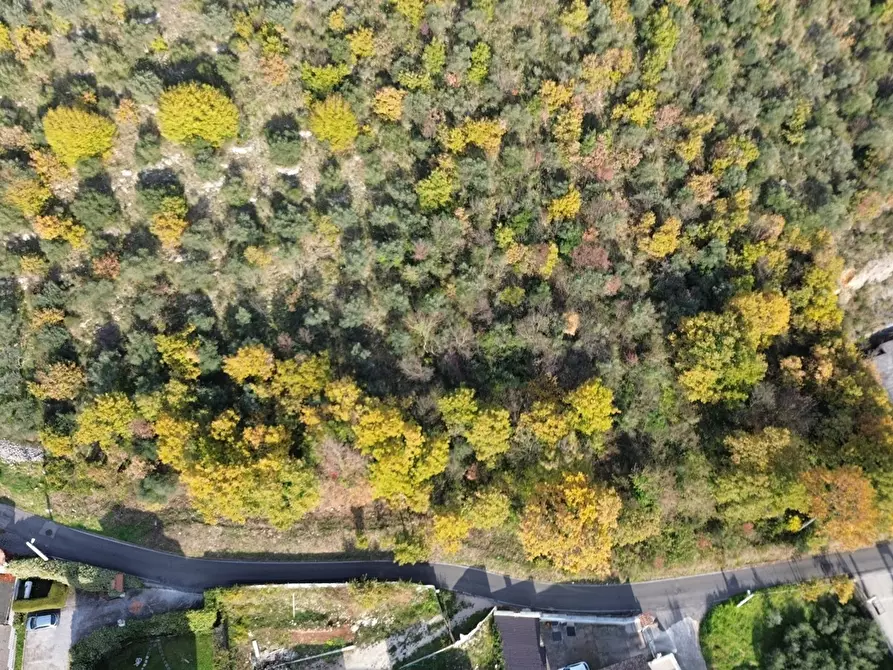 Immagine 4 di Terreno residenziale in vendita  in Via cisterna antica a Fiuggi