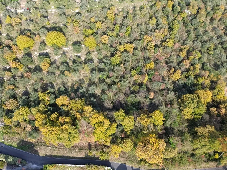 Immagine 5 di Terreno residenziale in vendita  in Via cisterna antica a Fiuggi