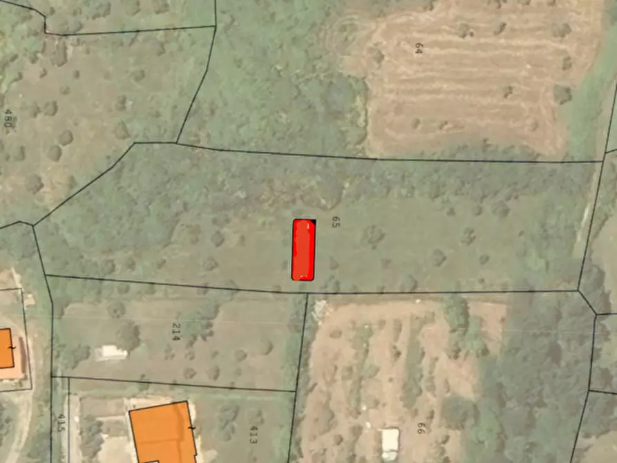 Immagine 2 di Terreno agricolo in vendita  in Contrada Moretti Sor Egidio a Fiuggi