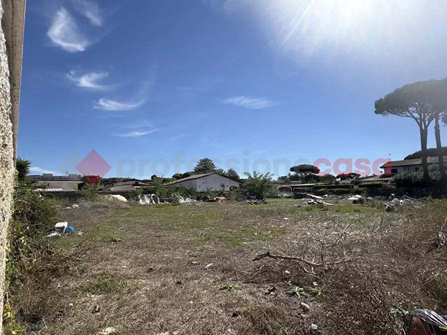 Immagine 8 di Terreno agricolo in vendita  in Via TERRASALUTE, 23 a Terracina