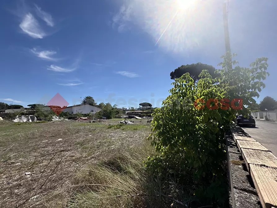 Immagine 5 di Terreno agricolo in vendita  in Via TERRASALUTE, 23 a Terracina