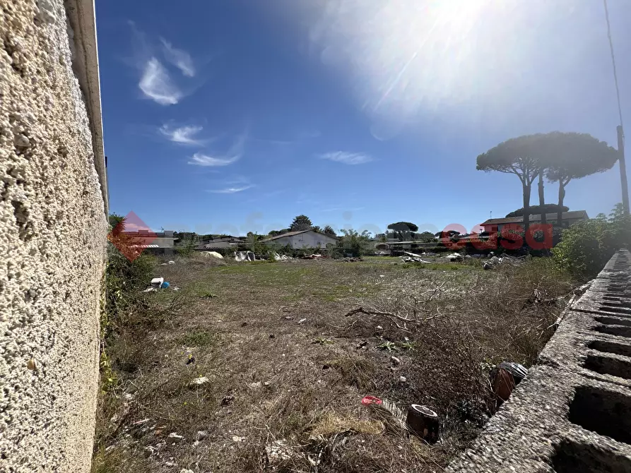 Immagine 7 di Terreno agricolo in vendita  in Via TERRASALUTE, 23 a Terracina