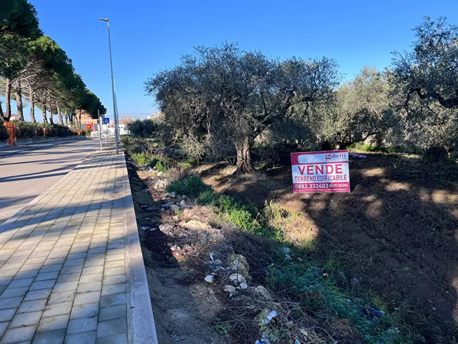 Immagine 3 di Terreno residenziale in vendita  in Via LITTERO a San Severo