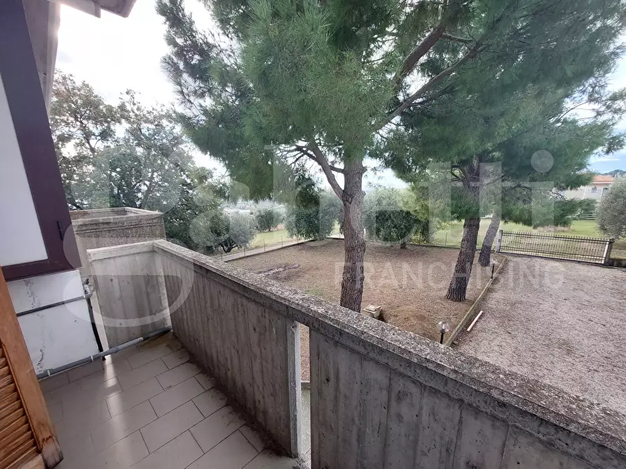 Immagine 20 di Villa in vendita  in Via Mameli, 9 a Corropoli