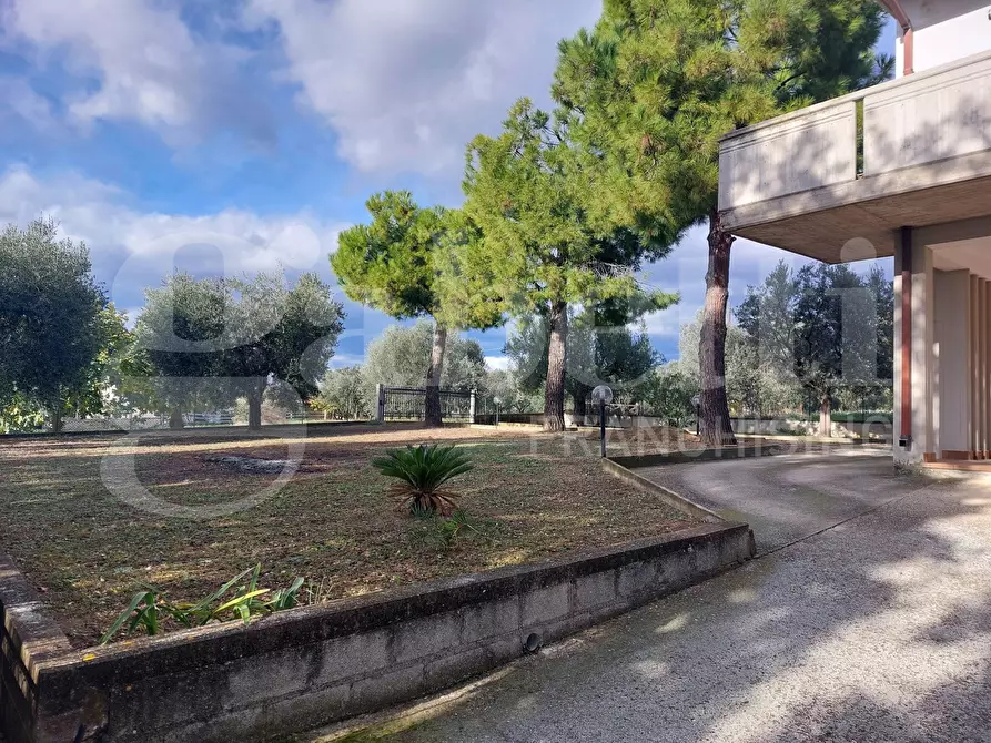 Immagine 6 di Villa in vendita  in Via Mameli, 9 a Corropoli