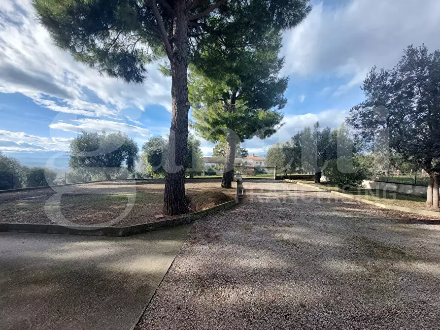 Immagine 7 di Villa in vendita  in Via Mameli, 9 a Corropoli