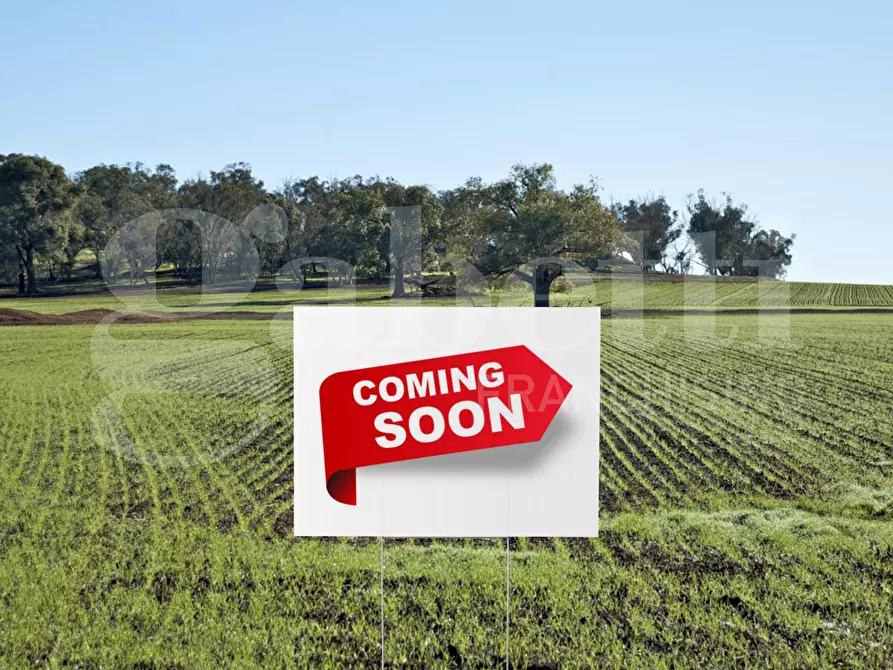 Immagine 1 di Terreno agricolo in vendita  in Via Callalta, SNC a Silea