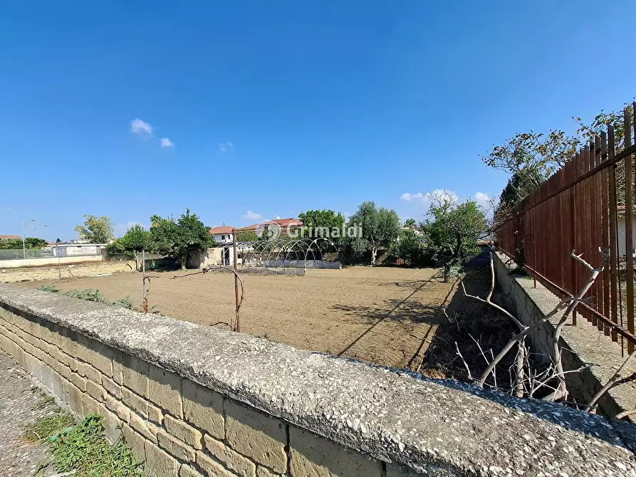Immagine 5 di Terreno agricolo in affitto  in Via Donatello, 12 a Acerra