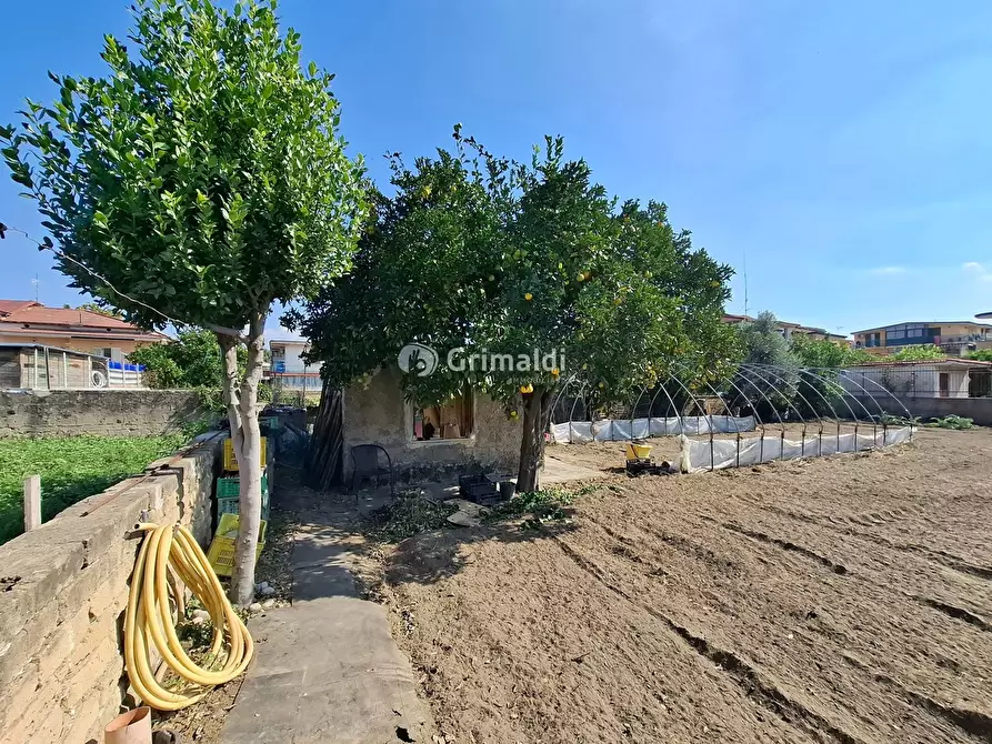 Immagine 7 di Terreno agricolo in affitto  in Via Donatello, 12 a Acerra