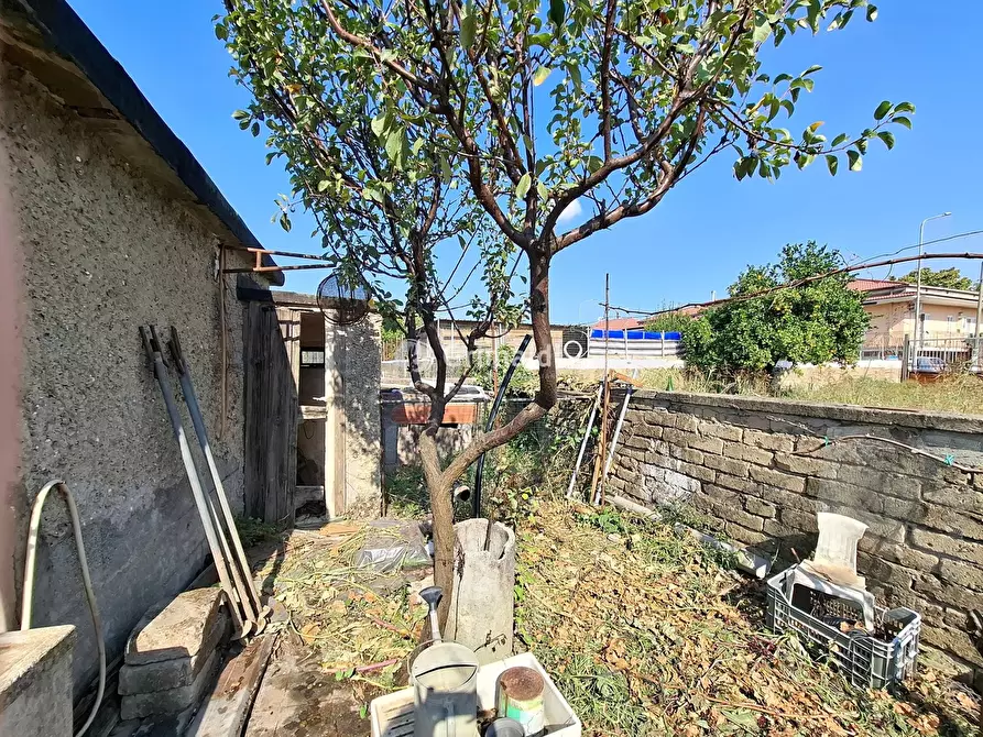 Immagine 2 di Terreno agricolo in affitto  in Via Donatello, 12 a Acerra