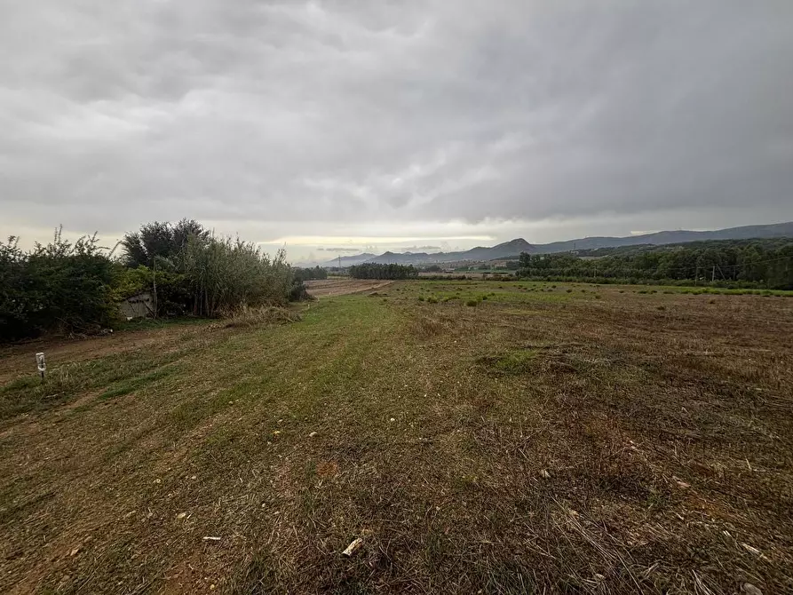 Immagine 1 di Terreno agricolo in vendita  in LocalitÃ  Tallaroga, snc a Villamassargia