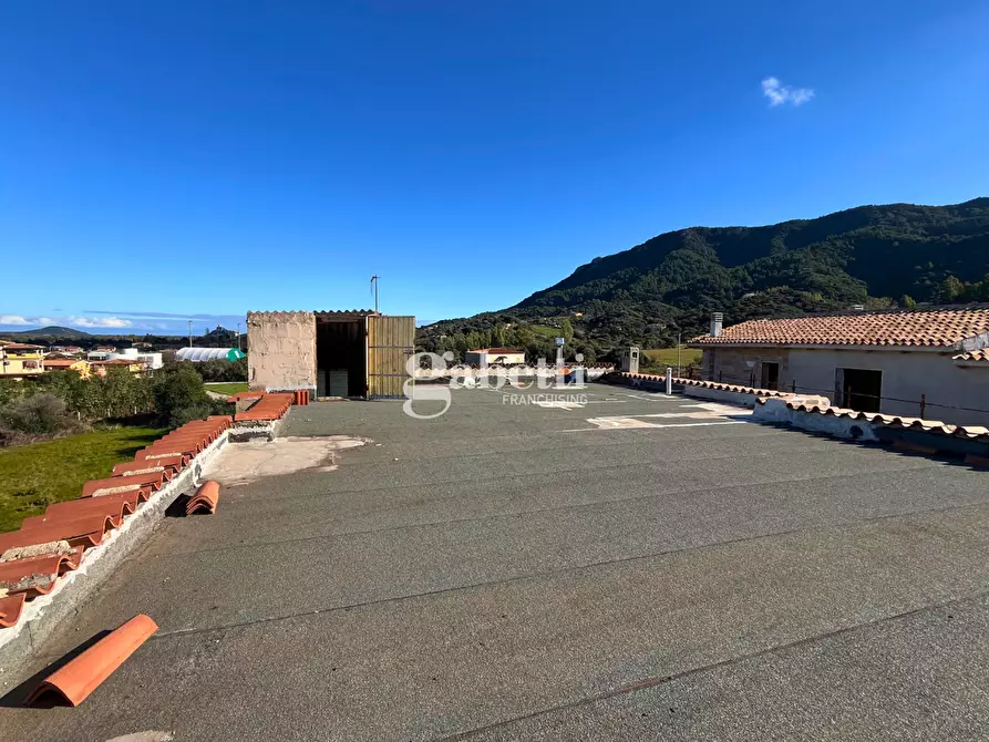 Immagine 20 di Appartamento in vendita  in Via Rossini, 19 a Torpè